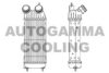 AUTOGAMMA 105222 Intercooler, charger